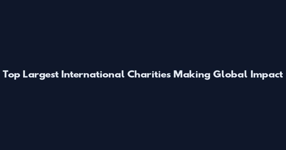 Top Largest International Charities Making Global Impact