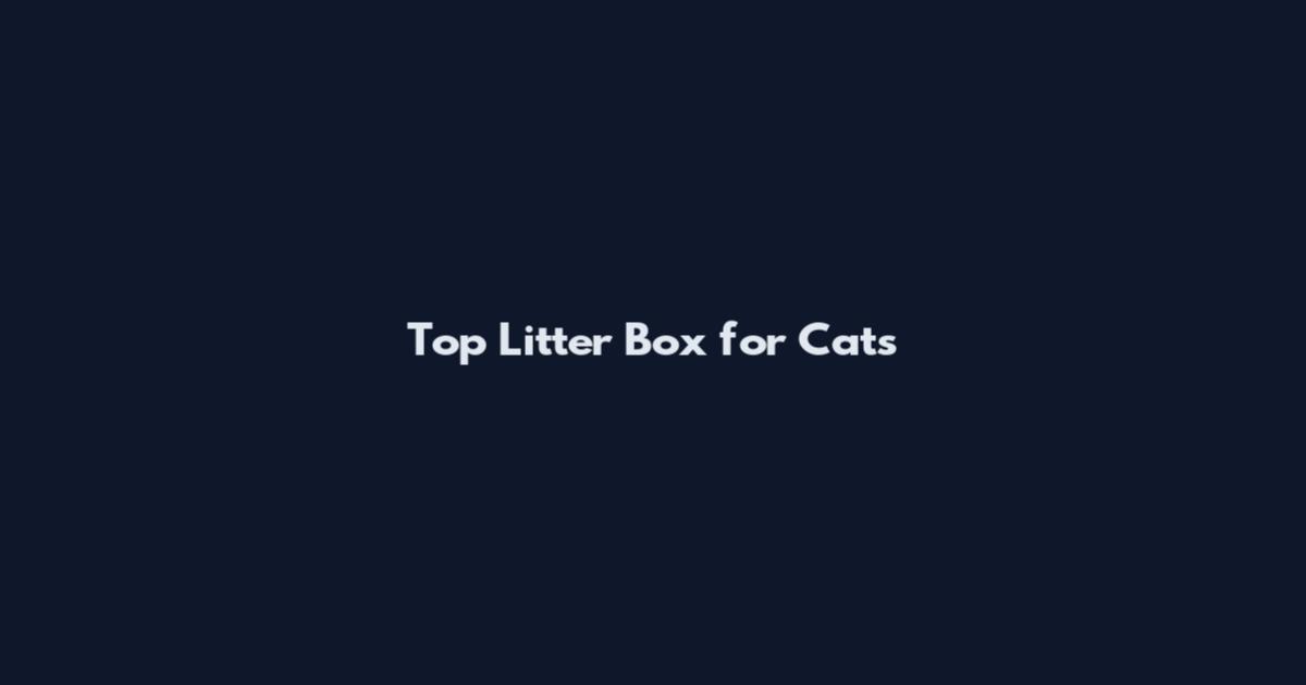 Top Litter Box for Cats