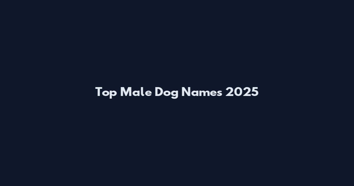 Top Male Dog Names 2025