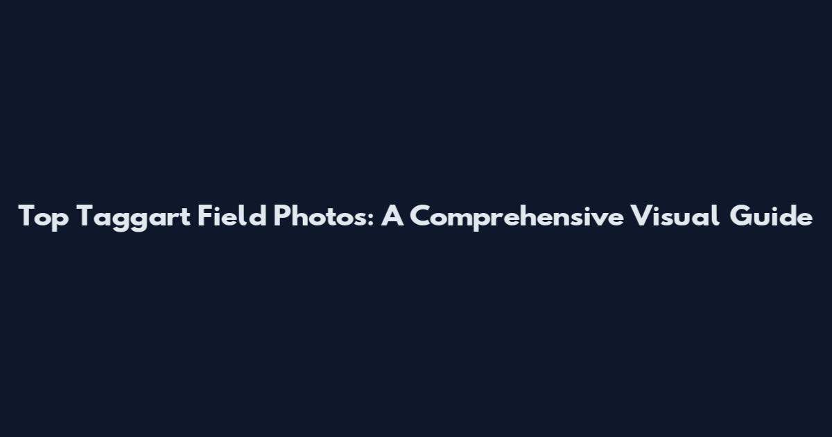 Top Taggart Field Photos: A Comprehensive Visual Guide