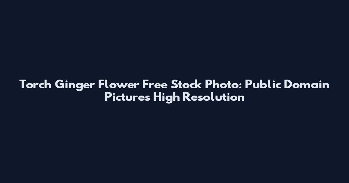 Torch Ginger Flower Free Stock Photo: Public Domain Pictures High Resolution
