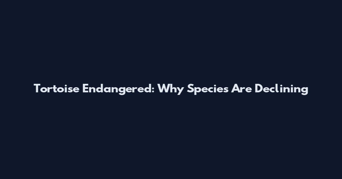 Tortoise Endangered: Why Species Are Declining