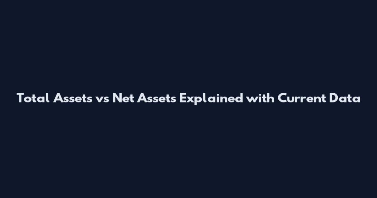 Total Assets vs Net Assets Explained with Current Data