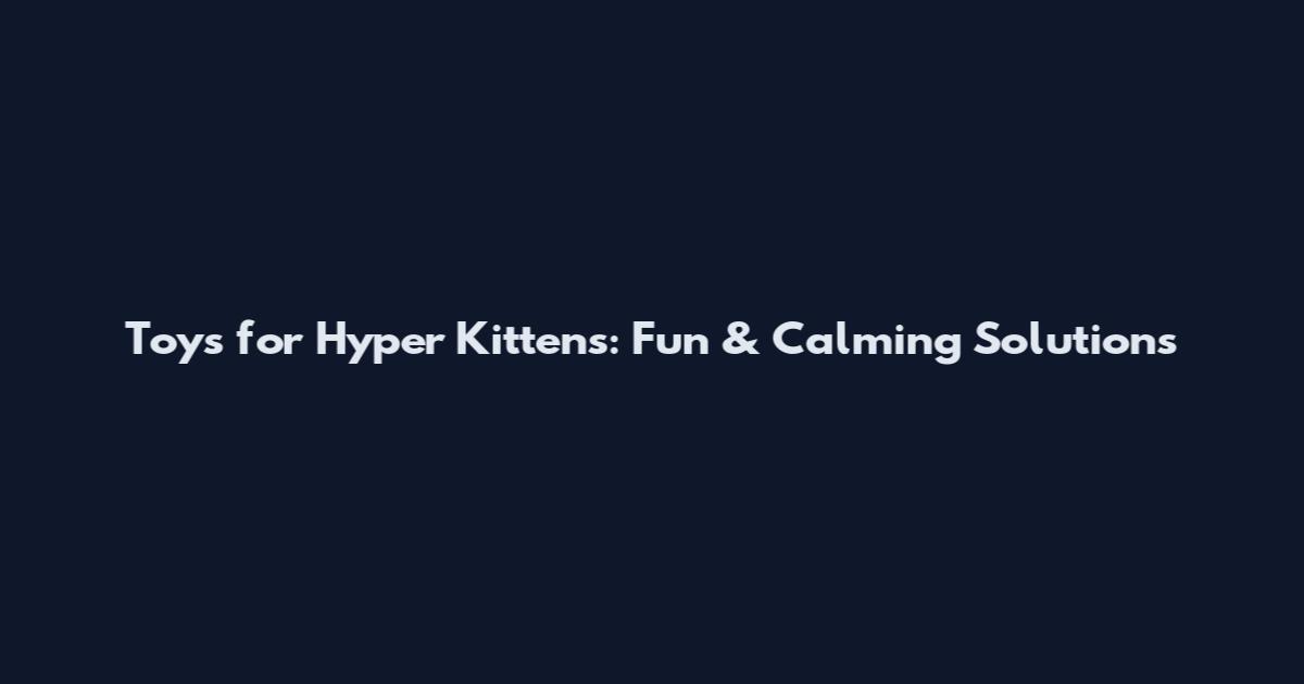 Toys for Hyper Kittens: Fun & Calming Solutions