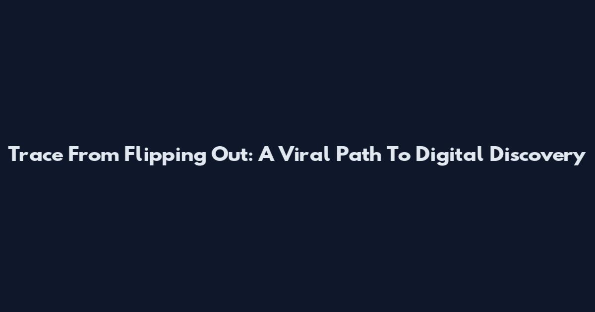 Trace From Flipping Out: A Viral Path To Digital Discovery