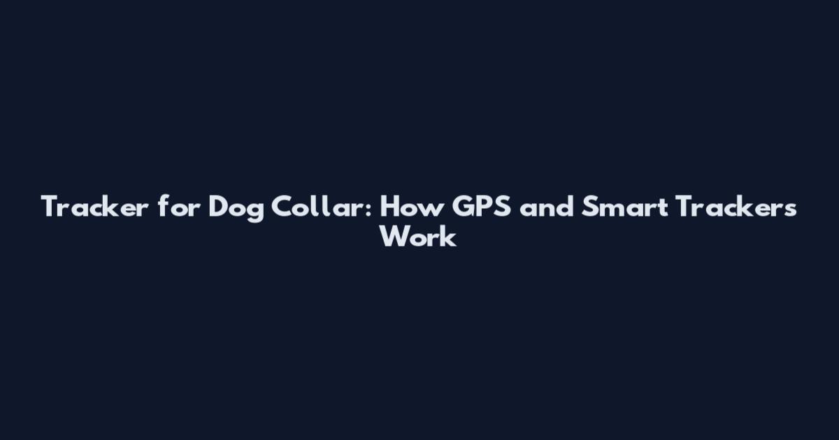 Tracker for Dog Collar: How GPS and Smart Trackers Work