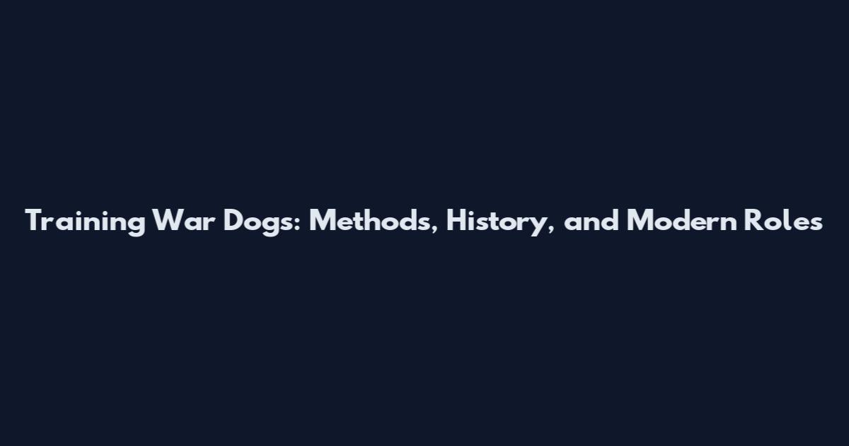 Training War Dogs: Methods, History, and Modern Roles
