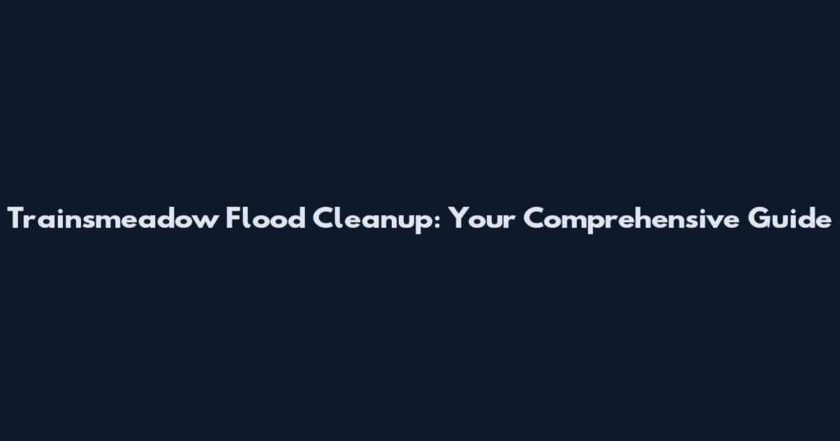 Trainsmeadow Flood Cleanup: Your Comprehensive Guide