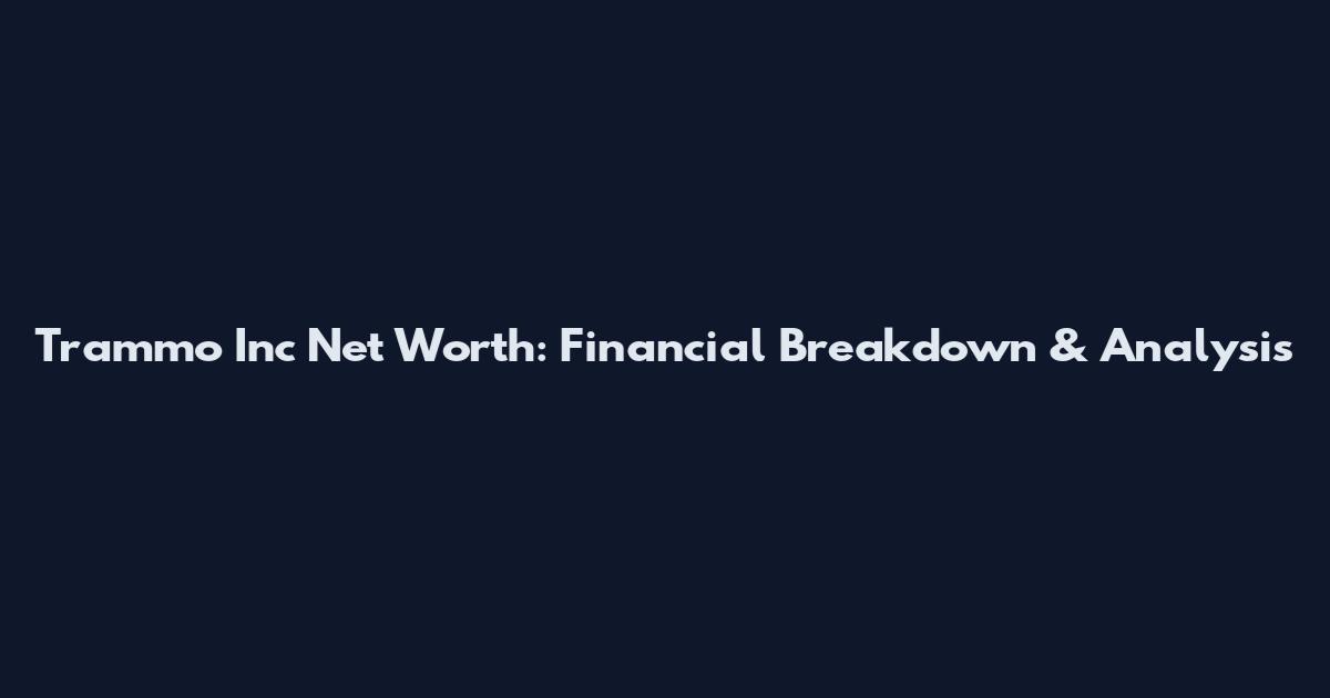 Trammo Inc Net Worth: Financial Breakdown & Analysis