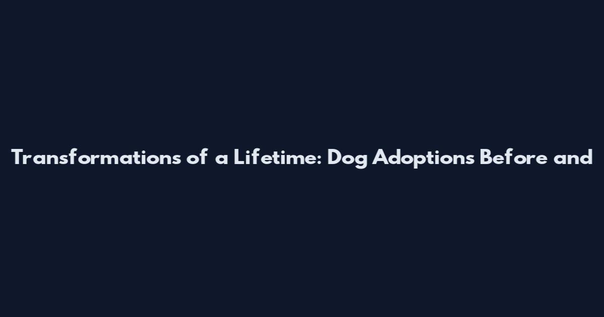 Transformations of a Lifetime: Dog Adoptions Before and