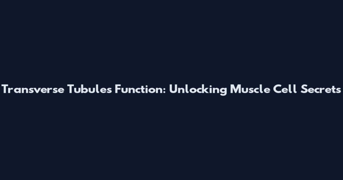 Transverse Tubules Function: Unlocking Muscle Cell Secrets