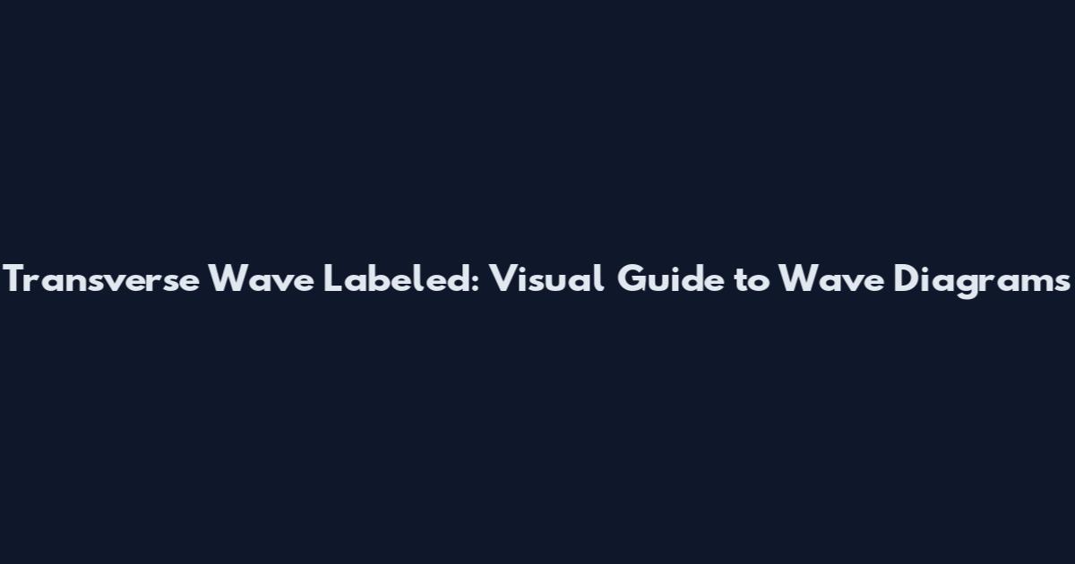 Transverse Wave Labeled: Visual Guide to Wave Diagrams