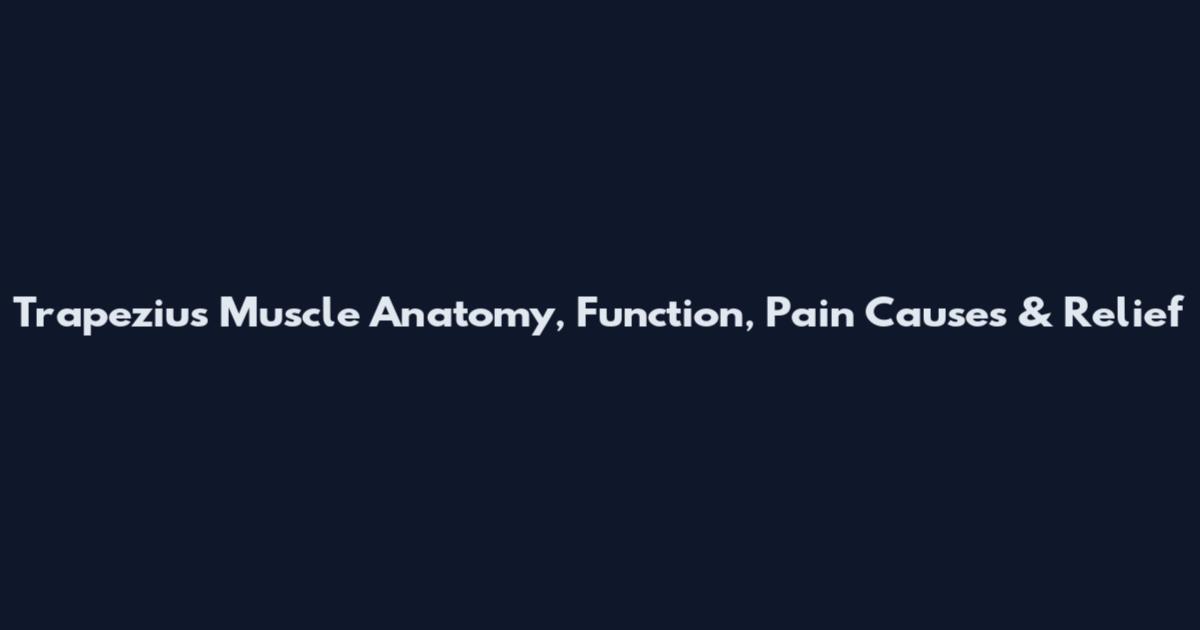 Trapezius Muscle Anatomy, Function, Pain Causes & Relief