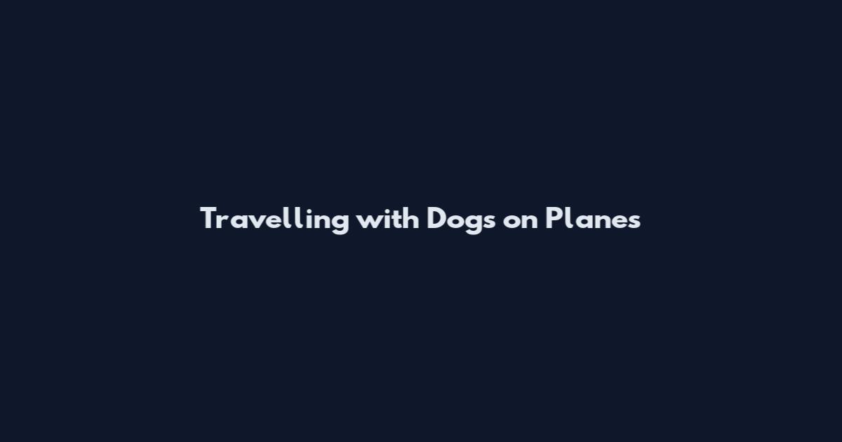 Travelling with Dogs on Planes