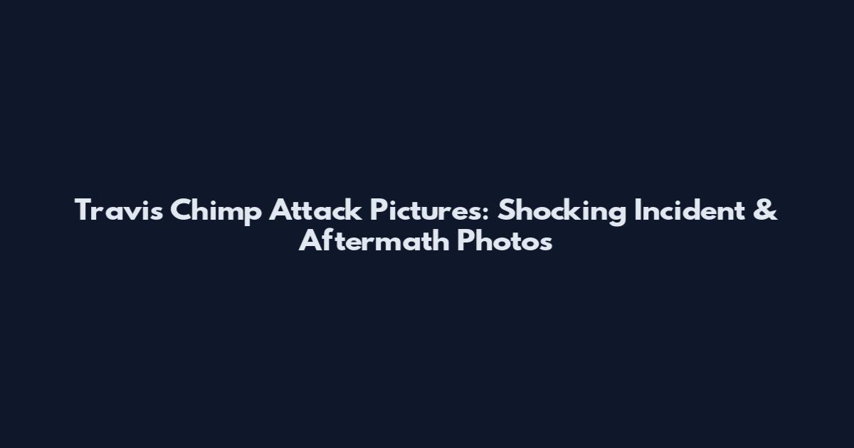 Travis Chimp Attack Pictures: Shocking Incident & Aftermath Photos