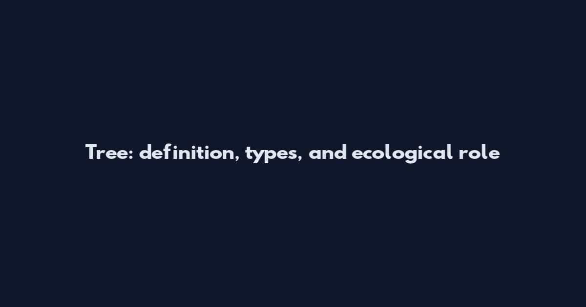 Tree: definition, types, and ecological role