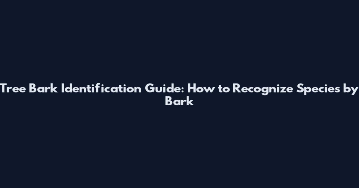 Tree Bark Identification Guide: How to Recognize Species by Bark