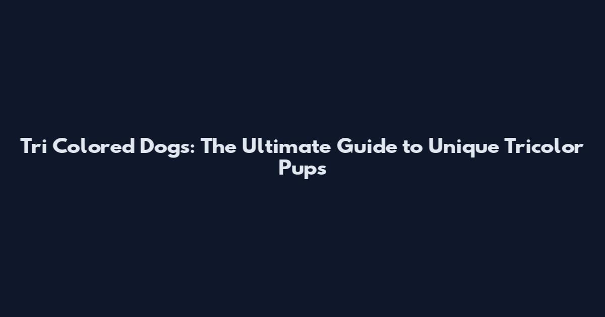 Tri Colored Dogs: The Ultimate Guide to Unique Tricolor Pups