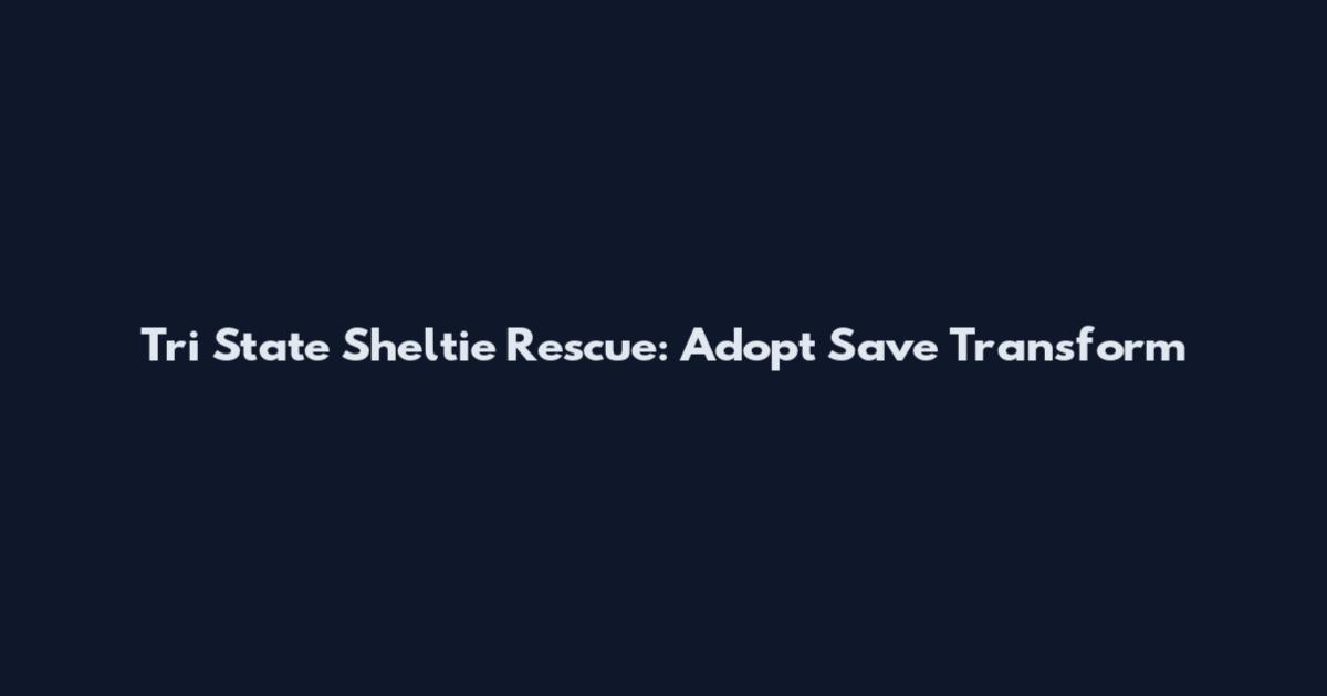 Tri State Sheltie Rescue: Adopt Save Transform