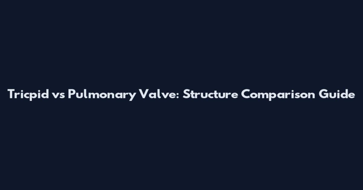 Tricpid vs Pulmonary Valve: Structure Comparison Guide