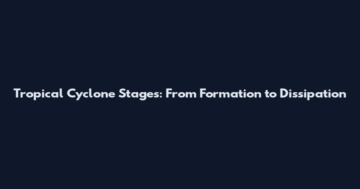 Tropical Cyclone Stages: From Formation to Dissipation