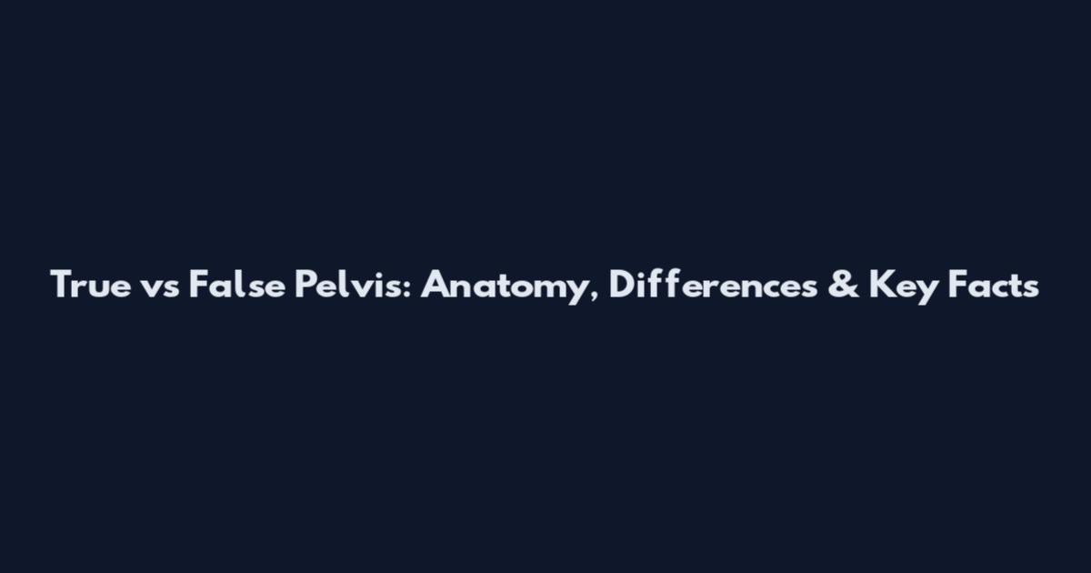 True vs False Pelvis: Anatomy, Differences & Key Facts
