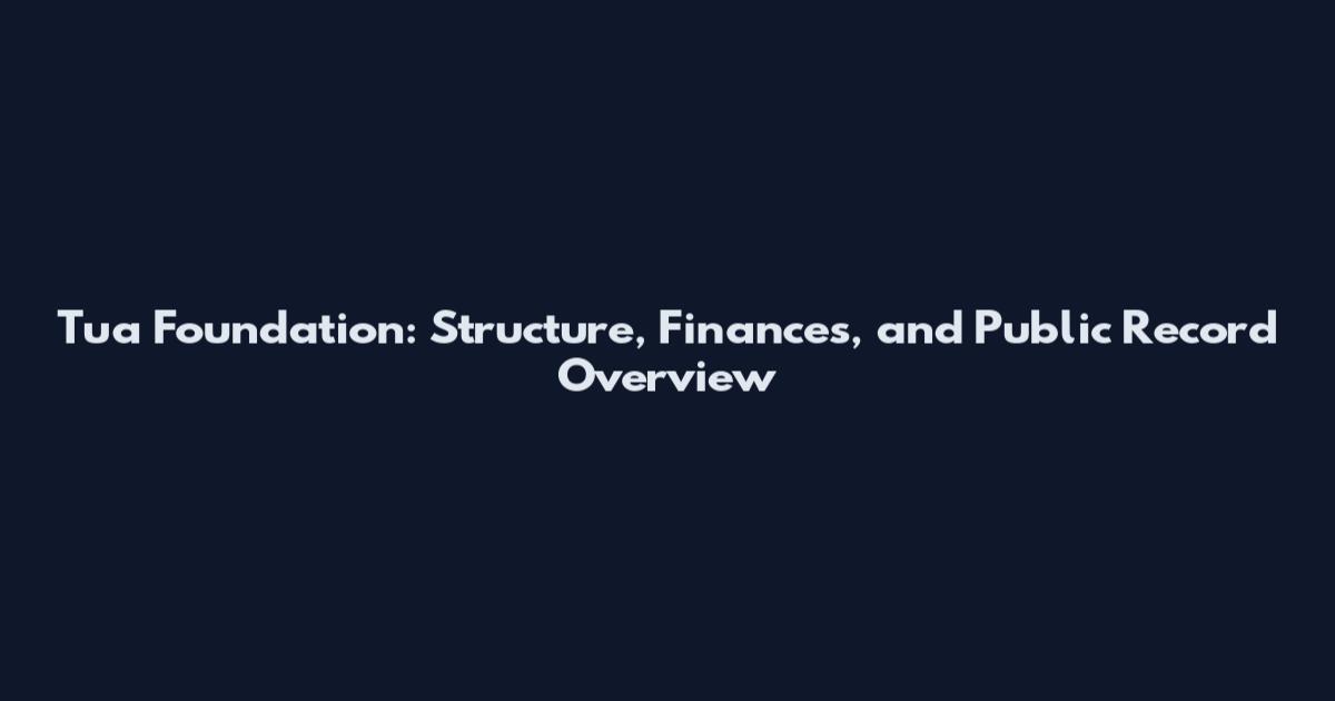Tua Foundation: Structure, Finances, and Public Record Overview