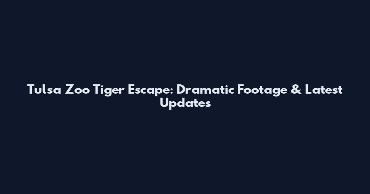 Tulsa Zoo Tiger Escape: Dramatic Footage & Latest Updates
