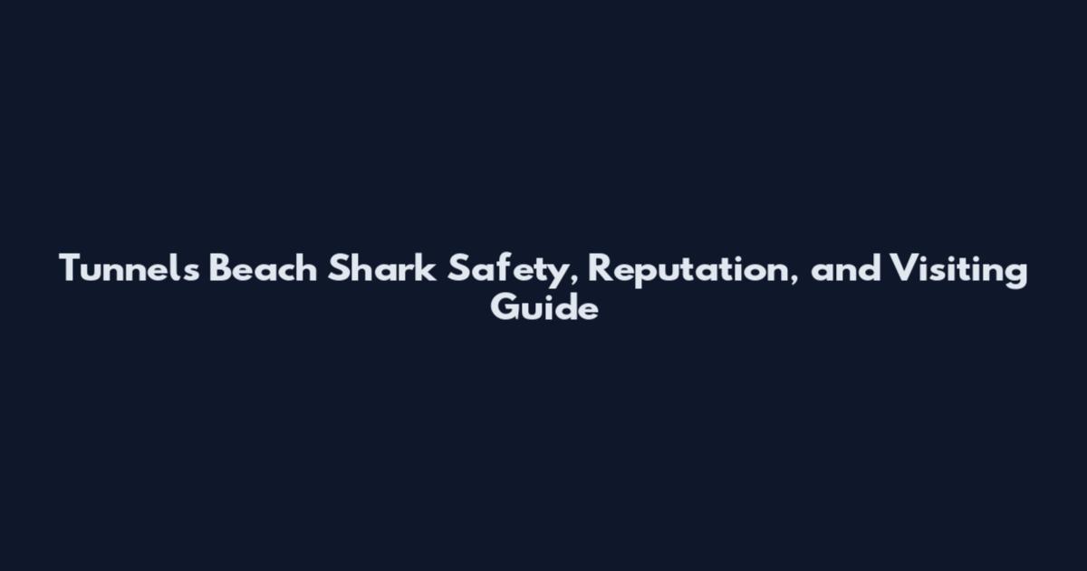 Tunnels Beach Shark Safety, Reputation, and Visiting Guide