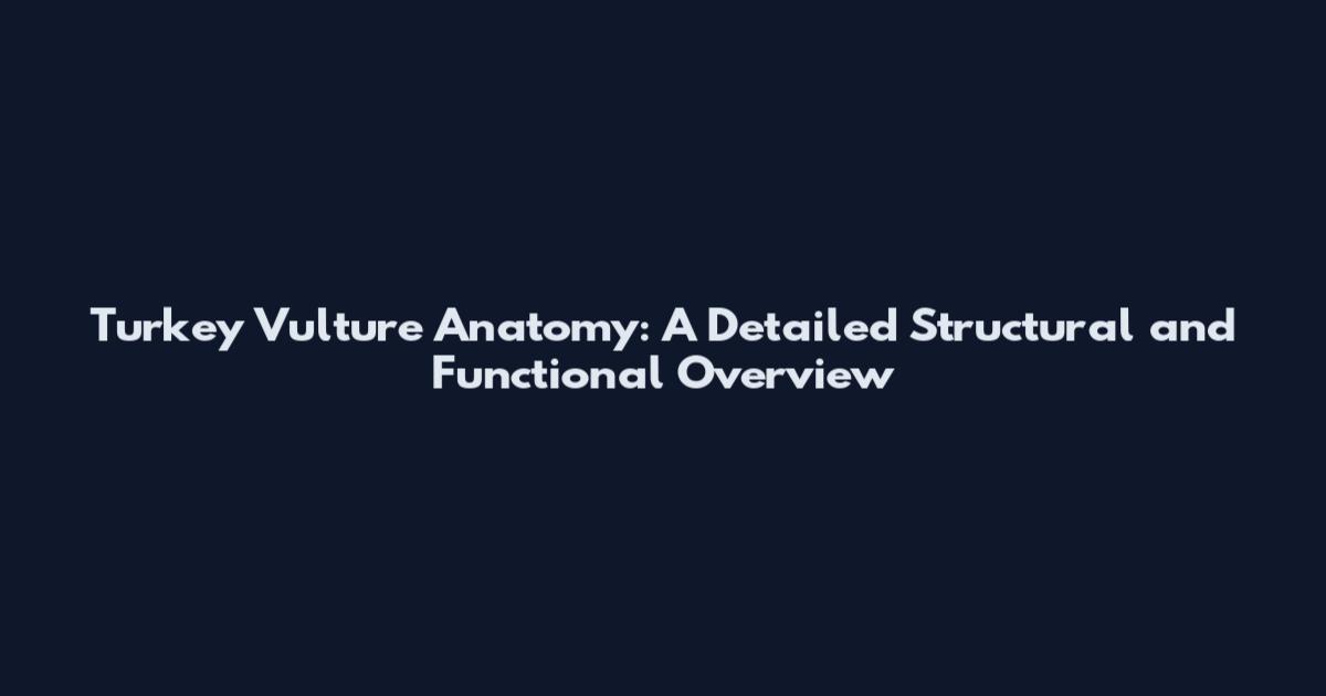 Turkey Vulture Anatomy: A Detailed Structural and Functional Overview