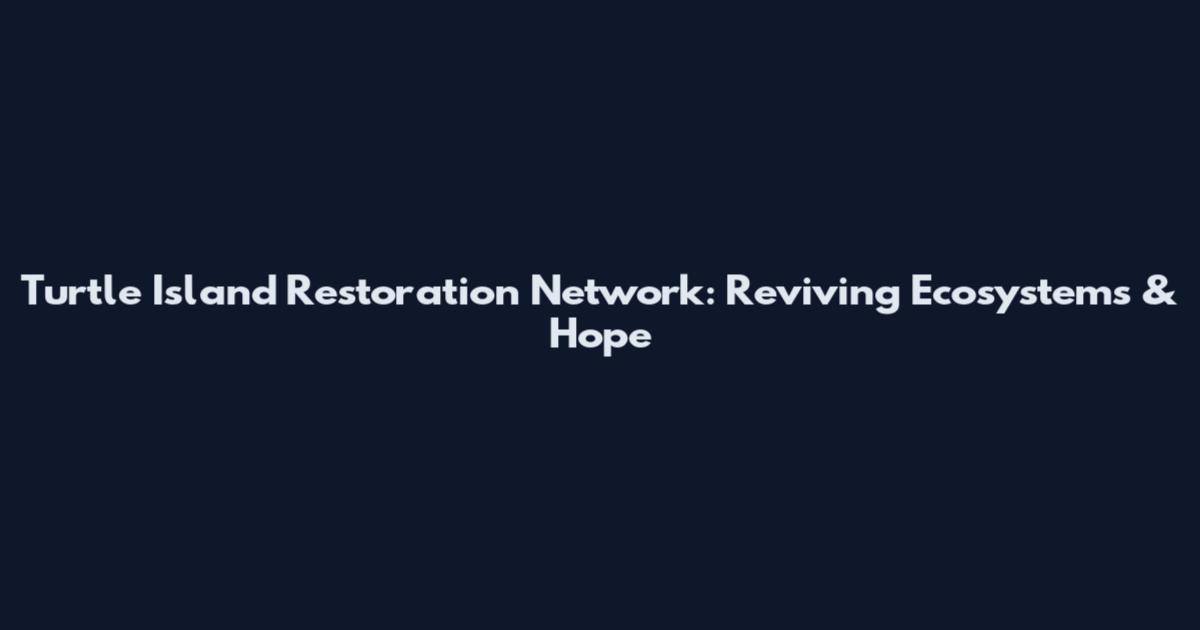 Turtle Island Restoration Network: Reviving Ecosystems & Hope