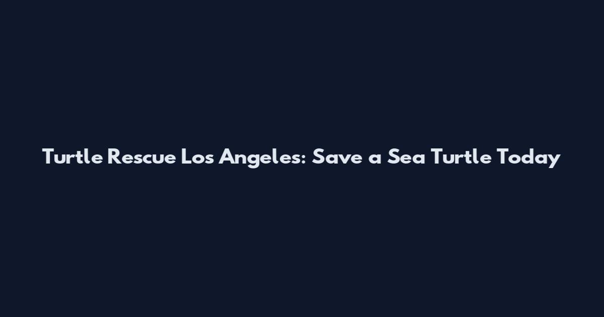 Turtle Rescue Los Angeles: Save a Sea Turtle Today