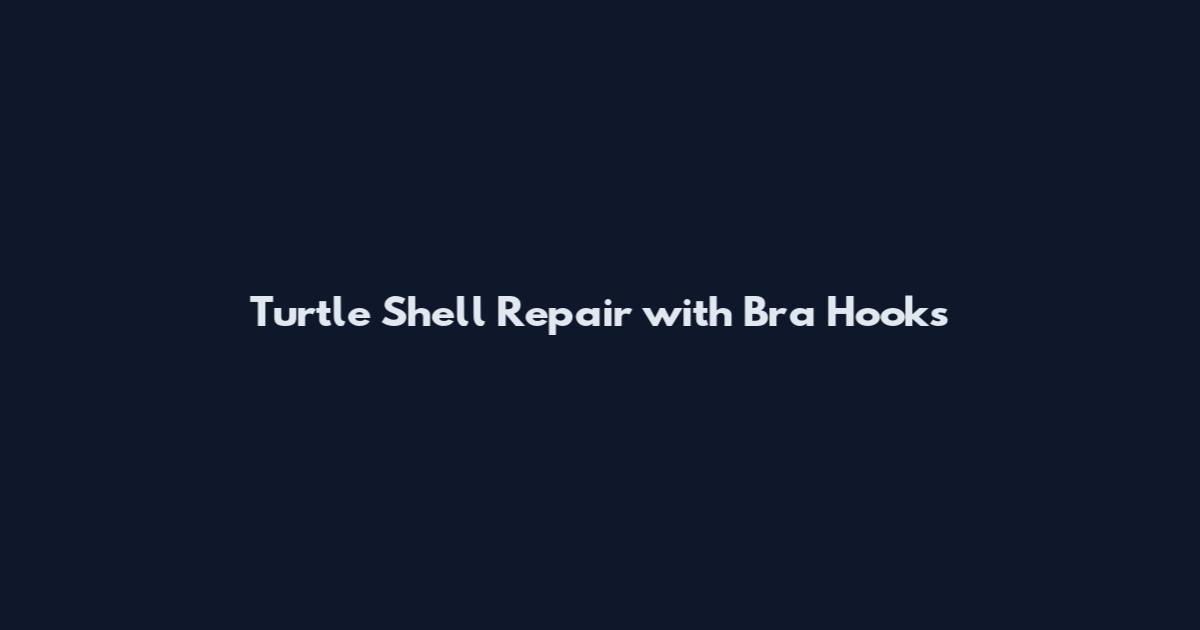 Turtle Shell Repair with Bra Hooks