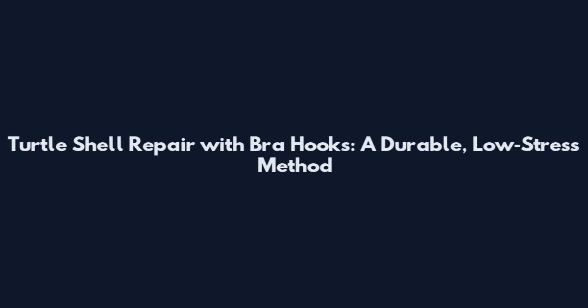 Turtle Shell Repair with Bra Hooks: A Durable, Low‑Stress Method