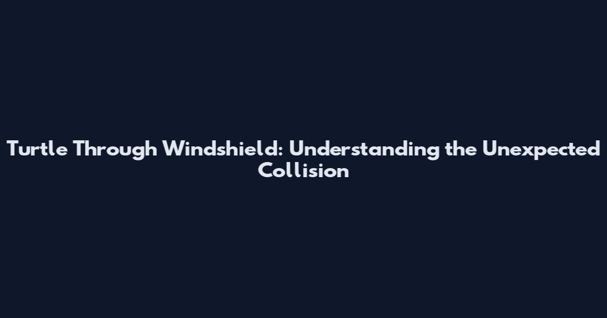 Turtle Through Windshield: Understanding the Unexpected Collision