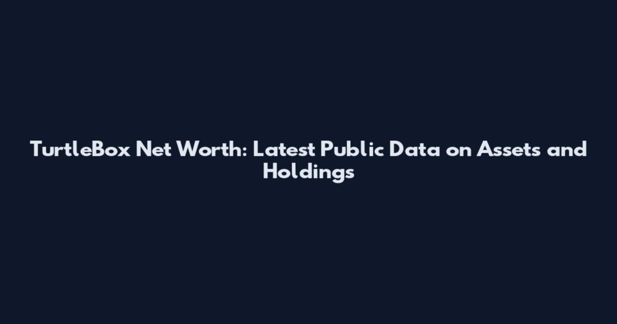 TurtleBox Net Worth: Latest Public Data on Assets and Holdings