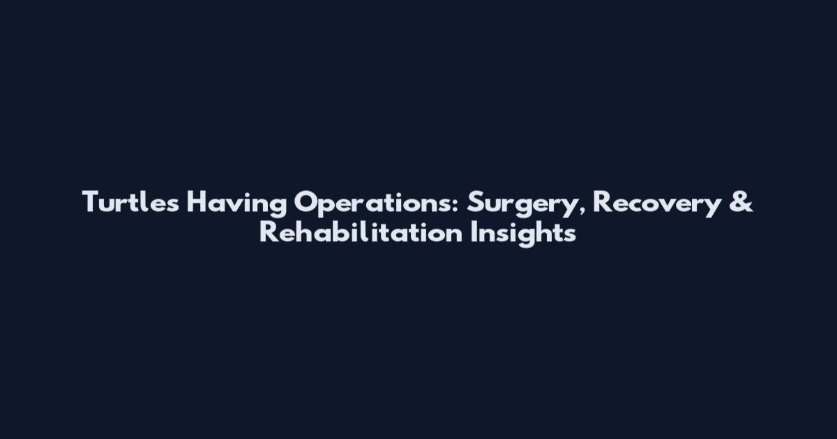 Turtles Having Operations: Surgery, Recovery & Rehabilitation Insights