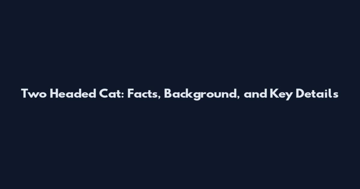 Two Headed Cat: Facts, Background, and Key Details
