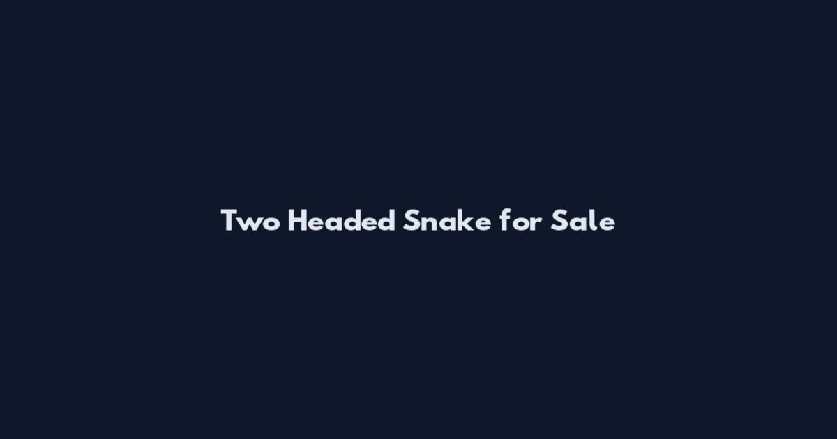 Two Headed Snake for Sale