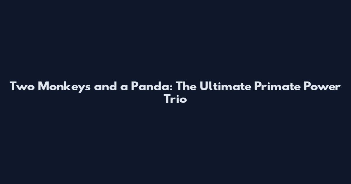 Two Monkeys and a Panda: The Ultimate Primate Power Trio