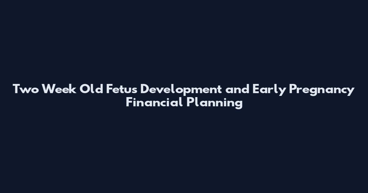 Two Week Old Fetus Development and Early Pregnancy Financial Planning