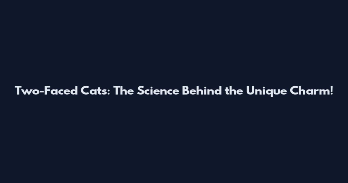 Two-Faced Cats: The Science Behind the Unique Charm!