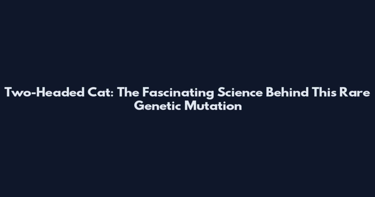 Two-Headed Cat: The Fascinating Science Behind This Rare Genetic Mutation