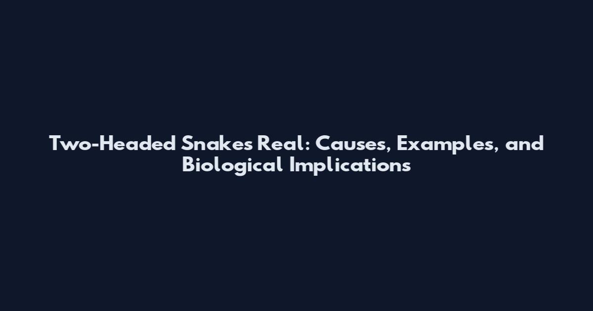Two-Headed Snakes Real: Causes, Examples, and Biological Implications