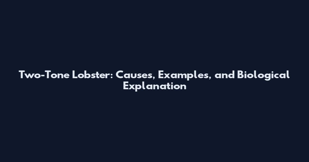Two-Tone Lobster: Causes, Examples, and Biological Explanation