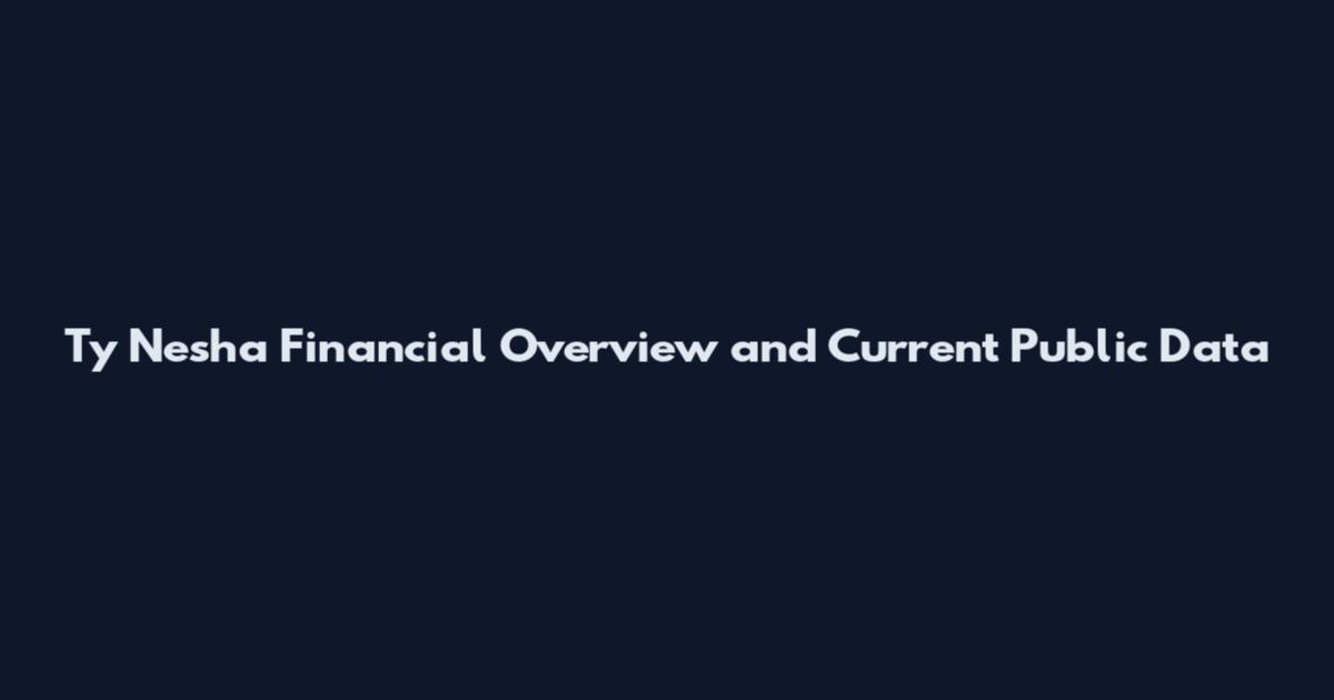 Ty Nesha Financial Overview and Current Public Data