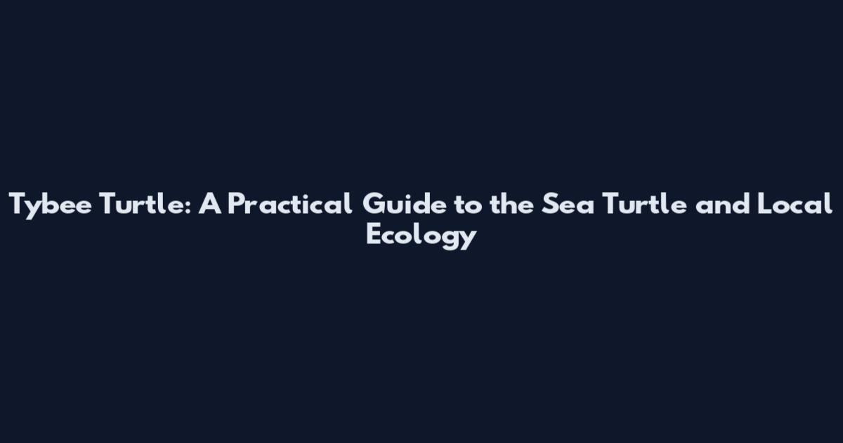 Tybee Turtle: A Practical Guide to the Sea Turtle and Local Ecology