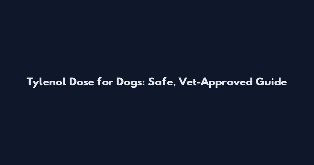Tylenol Dose for Dogs: Safe, Vet-Approved Guide
