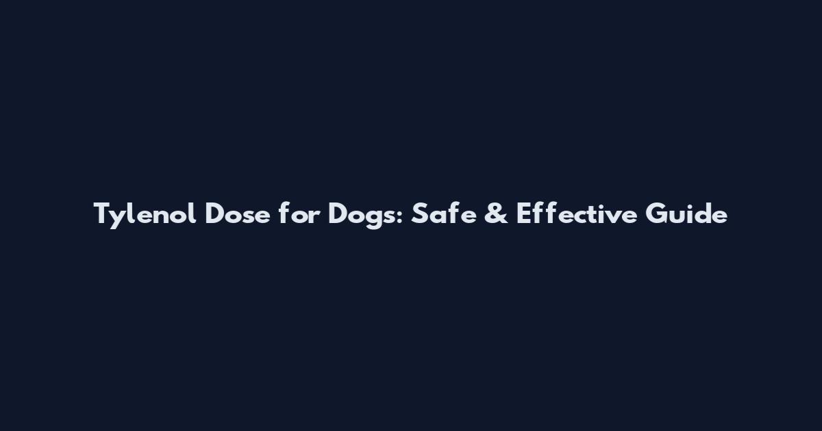 Tylenol Dose for Dogs: Safe & Effective Guide