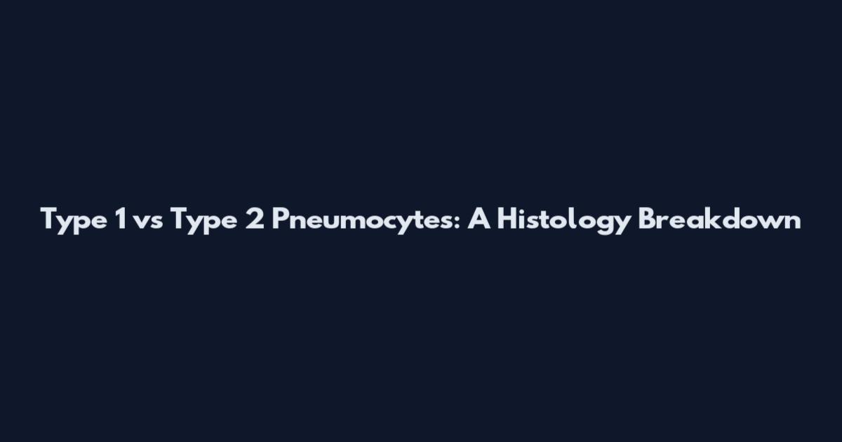 Type 1 vs Type 2 Pneumocytes: A Histology Breakdown